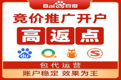 SEM代理服务：案例分享，效果显著
